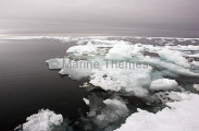 Ice chunks breaking off main floe of sea ice. Ice chunks breaking off main floe of sea ice.