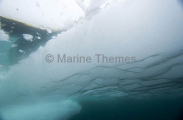 Underside of sea ice floe. Underside of sea ice floe.