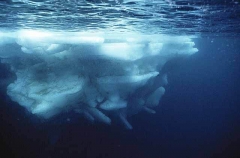 Edge of ice floe underwater. Edge of ice floe underwater.