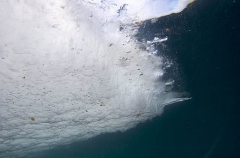 Air bubbles and algae trapped in sea ice on floe edge. Air bubbles and algae trapped in sea ice on floe edge.