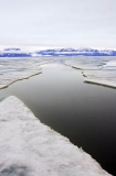 Lead or split in sea ice during sping thaw. Lead or split in sea ice during sping thaw.