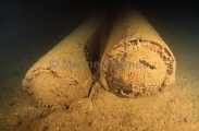 Large Torpedoes lying in the Seiko Maru, Japanese WW II shipwreck. Large Torpedoes lying in the Seiko Maru, Japanese WW II shipwreck.
