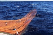 Trawl net being drawn into boat. Trawl net being drawn into boat.
