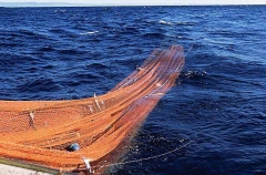 Trawl net being drawn into boat. Trawl net being drawn into boat.