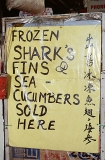 Sign advertising shark fins and sea cucumbers outside shop. Used in medicines and various foods. Sign advertising shark fins and sea cucumbers outside shop. Used in medicines and various foods.