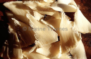 Dried shark fins. Used in medicines and various foods. Dried shark fins. Used in medicines and various foods.