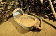 Toilet in officers bathroom on the Shinkoku Maru, Japanese WW II shipwreck. Toilet in officers bathroom on the Shinkoku Maru, Japanese WW II shipwreck.