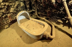 Toilet in officers bathroom on the Shinkoku Maru, Japanese WW II shipwreck. Toilet in officers bathroom on the Shinkoku Maru, Japanese WW II shipwreck.