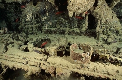 Stove and cook tops in galley on the Shinkoku Maru, Japanese WW II shipwreck. Stove and cook tops in galley on the Shinkoku Maru, Japanese WW II shipwreck.