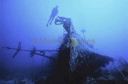 Shipwreck. Taiwanese fishing trawler with diver. Shipwreck. Taiwanese fishing trawler with diver.