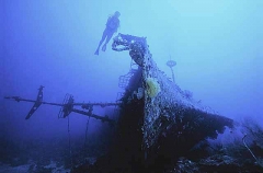 Shipwreck. Taiwanese fishing trawler with diver. Shipwreck. Taiwanese fishing trawler with diver.