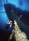 Diver at the stern of the Tao Maru shipwreck. Diver at the stern of the Tao Maru shipwreck.
