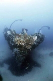 Bow of the Cheynes III shipwreck. Bow of the Cheynes III shipwreck.