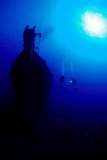 Wreck of the Mahi.