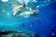Divers over coral reef. Divers over coral reef.