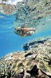 Snorkel diver over coral reef. Snorkel diver over coral reef.