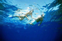 Divers over coral reef. Divers over coral reef.