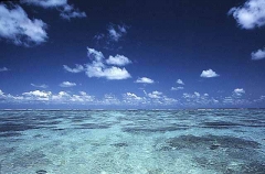 Above water view of coral reef and sky with small puffy clouds. Above water view of coral reef and sky with small puffy clouds.