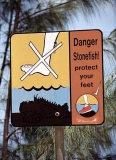 Beach sign warning waders and swimmers of the presence of scorpionfish. Beach sign warning waders and swimmers of the presence of scorpionfish.