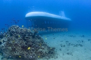 Atlantis Submarine underway during tourist ride. Atlantis Submarine underway during tourist ride.