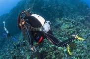 Diver with closed circuit rebreather, Drager unit. Diver with closed circuit rebreather, Drager unit.