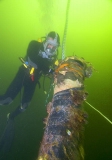 Commercial diver attaching buoy rope to rotten pylon prior to it's extraction. Commercial diver attaching buoy rope to rotten pylon prior to it's extraction.