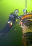 Commercial diver attaching buoy rope to rotten pylon prior to it's extraction. Commercial diver attaching buoy rope to rotten pylon prior to it's extraction.