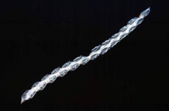 Siphonophore colony. in Antarctic waters. Siphonophore colony. in Antarctic waters.