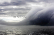 Sea fog obscuring shore.