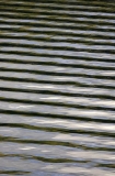Pattern formed by surface ripples. Pattern formed by surface ripples.