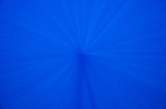 Sunbeams in deep water. Sunbeams in deep water.