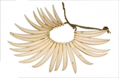 Wasakesaka or Whale Tooth Necklace made by splitting the teeth of a Sperm Whale into slivers and polishing to a fine lustre. Used as a gift between chiefs. Wasakesaka or Whale Tooth Necklace made by splitting the teeth of a Sperm Whale into slivers and polishing to a fine lustre. Used as a gift between chiefs.