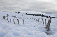 Remains of whaling skiff on site of abandoned whaling station. Remains of whaling skiff on site of abandoned whaling station.