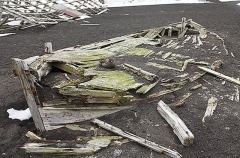 Whaling skiff, at abandoned whaling station, with Great Skua (Stercorarius skua) Whaling skiff, at abandoned whaling station, with Great Skua (Stercorarius skua)