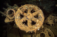 Control valve on steam or fuel lines on the Yamagiri Maru, Japanese WW II shipwreck. Control valve on steam or fuel lines on the Yamagiri Maru, Japanese WW II shipwreck.