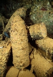 Large 18 inch artillery shells, intended for the Yamato and Musashi battleships, scattered in hold on the Yamagiri Maru, Japanese WW II shipwreck. Large 18 inch artillery shells, intended for the Yamato and Musashi battleships, scattered in hold on the Yamagiri Maru, Japanese WW II shipwreck.